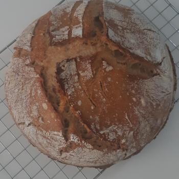 Melchior Bread first overview